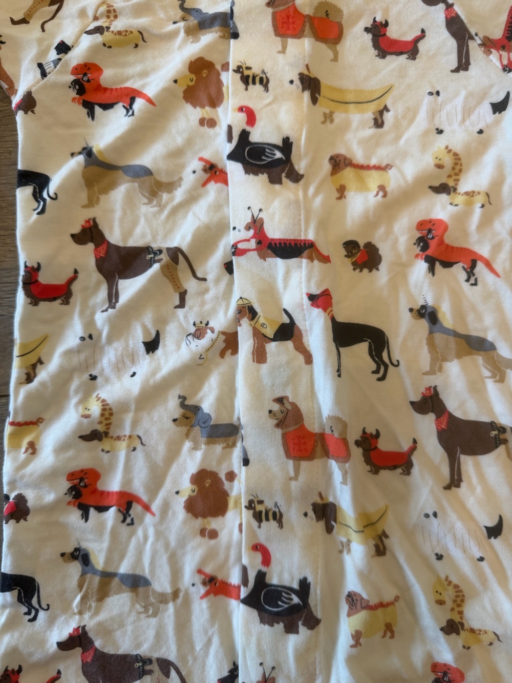NWOT - Magnetic Me Halloween Dog Footed Onesie - Picture 5 of 5